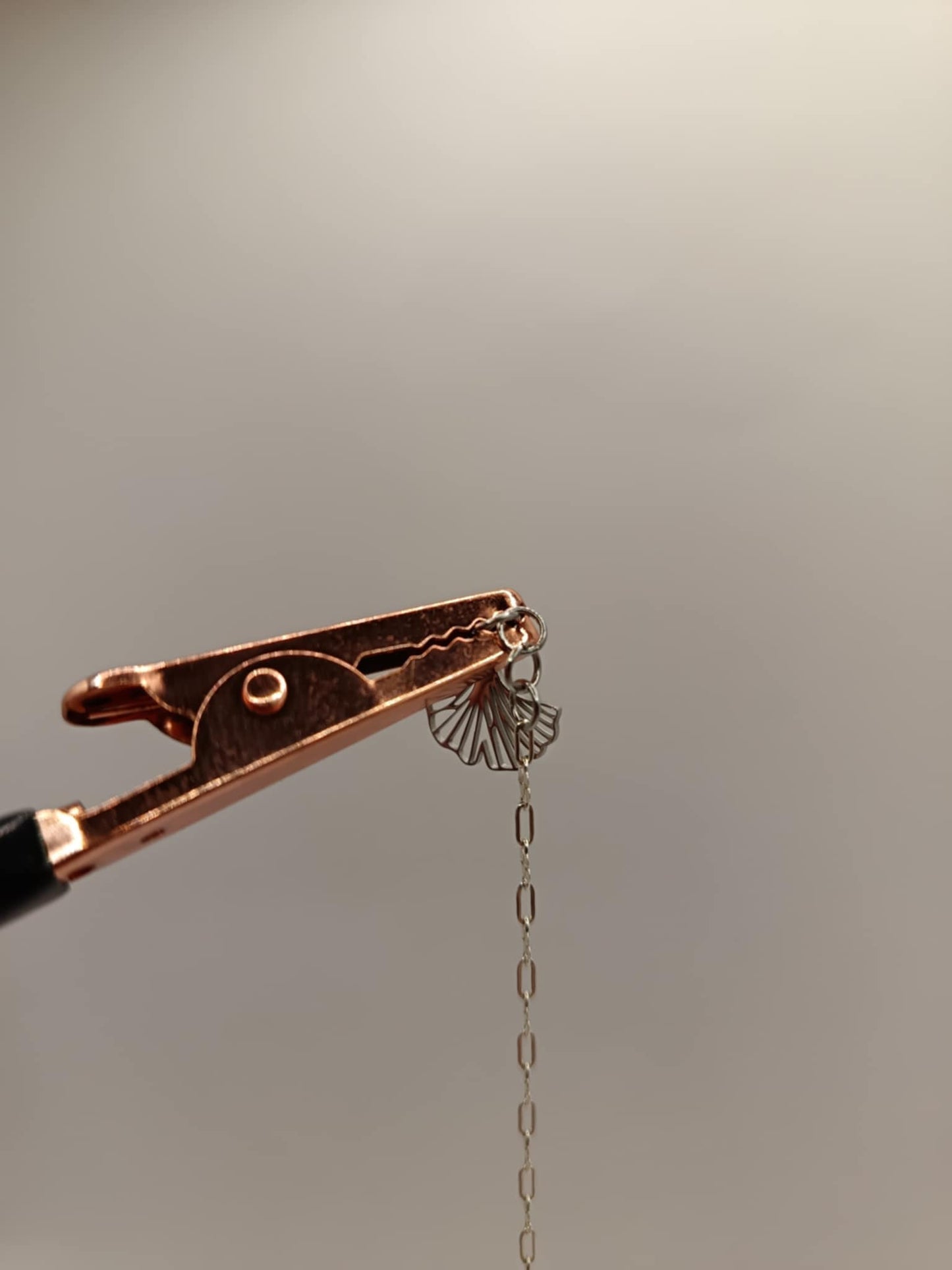 Accroche bracelet à pince