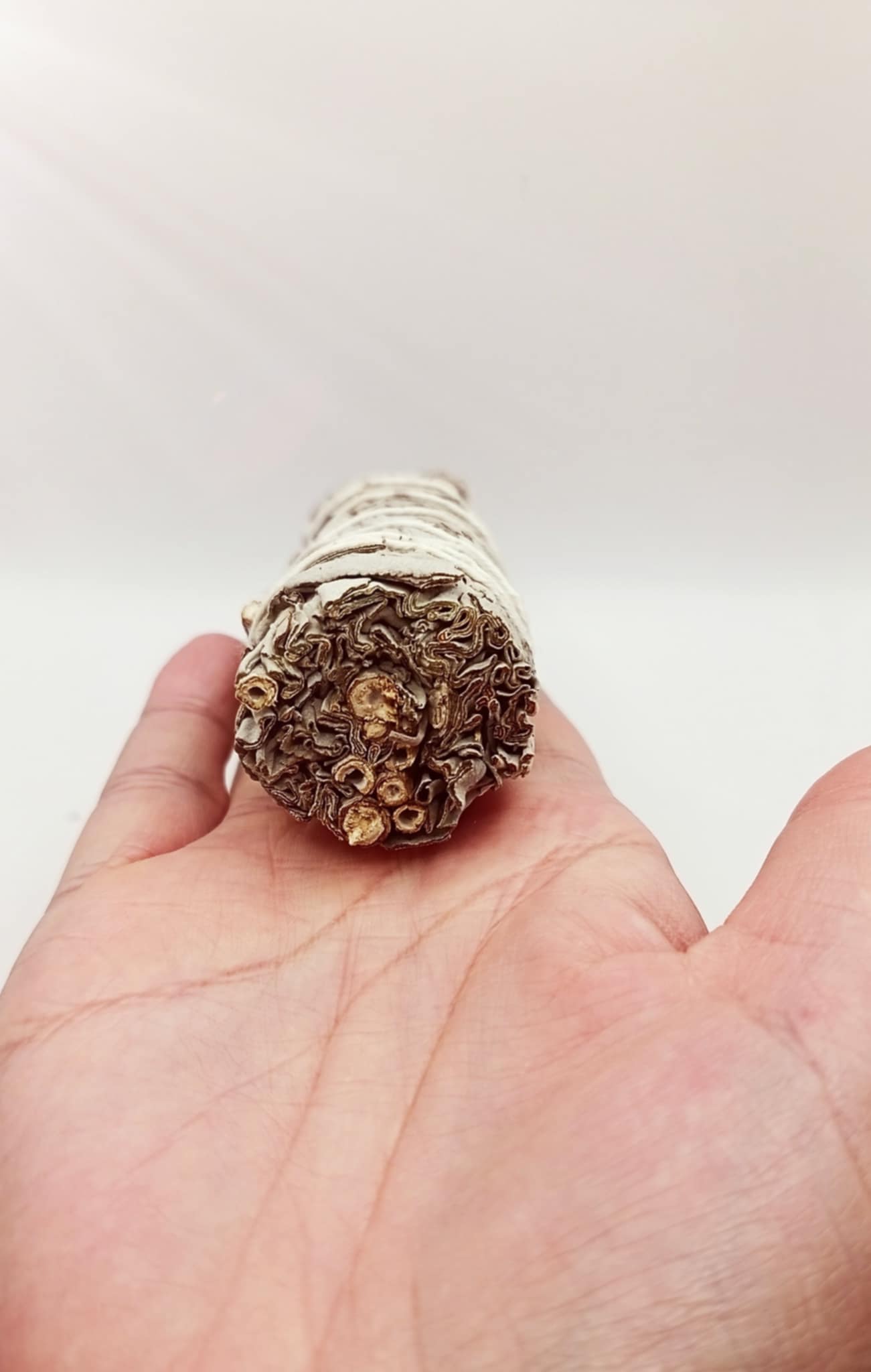 Sauge blanche et/ou Palo Santo